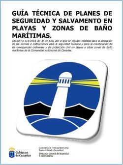 Gu A T Cnica De Planes De Seguridad Y Salvamento En Playas Y Zonas De