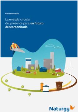 La Energ A Circular Del Presente Para Un Futuro Descarbonizado Gas