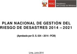 Plan Nacional De Gesti N Del Riesgo De Desastres Aprobado