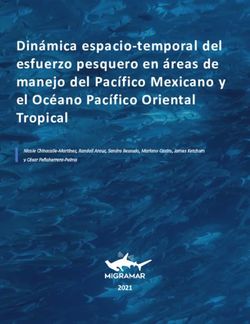 Dinámica espacio temporal del esfuerzo pesquero en áreas de manejo del