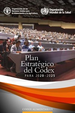 Plan Estrat Gico Del Codex Para