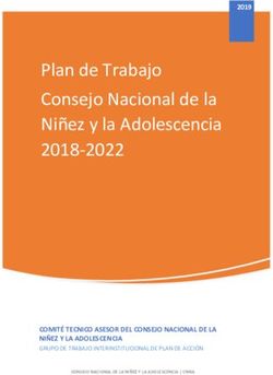 Plan De Trabajo Consejo Nacional De La Ni Ez Y La Adolescencia