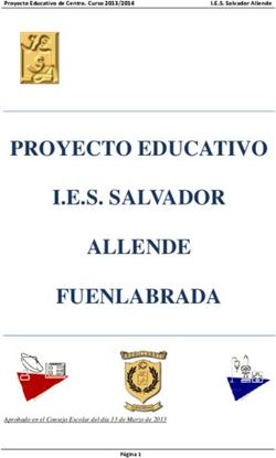 PROYECTO EDUCATIVO I E S SALVADOR ALLENDE FUENLABRADA