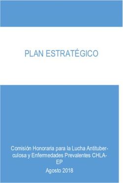 PLAN ESTRAT&Eacute;GICO - EP Comisi&oacute;n Honoraria para la Lucha Antituber-culosa y Enfermedades Prevalentes CHLA-Agosto 2018 - CHLAEP