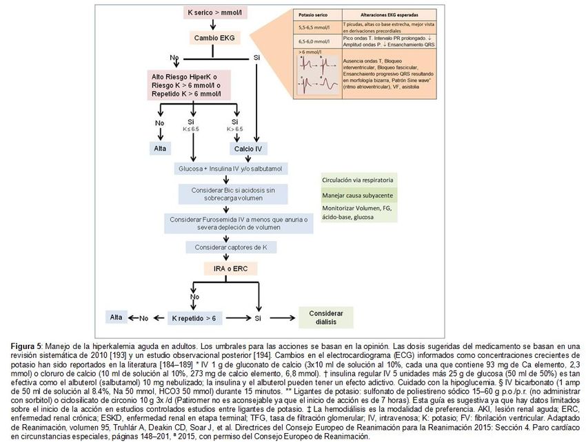 Homeostasis Y Manejo Del Potasio En El Enfermo Renal 2020 8374