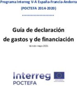 Guía de declaración de gastos y de financiación - (POCTEFA 2014-2020) Programa Interreg V-A España-Francia-Andorra