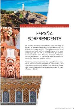 ESPAÑA SORPRENDENTE - Surland