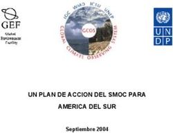 UN PLAN DE ACCION DEL SMOC PARA AMERICA DEL SUR - Septiembre 2004