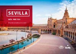 SEVILLA GUÍA PRÁCTICA - Recorrido completo por la ciudad