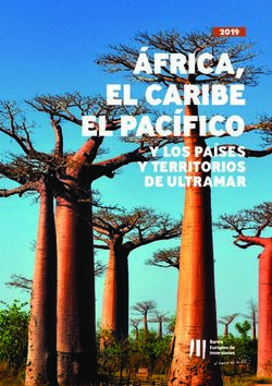 &Aacute;FRICA, EL CARIBE EL PAC&Iacute;FICO - Y LOS PA&Iacute;SES Y TERRITORIOS DE ULTRAMAR 2019 - European Investment Bank