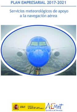 Servicios meteorológicos de apoyo a la navegación aérea - PLAN EMPRESARIAL 2017-2021