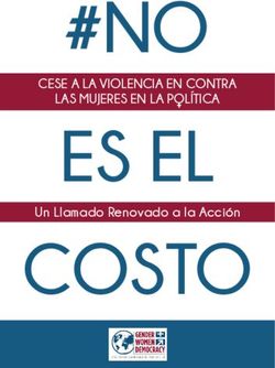 #NO ES EL COSTO CESE A LA VIOLENCIA EN CONTRA LAS MUJERES EN LA POLÍTICA - Un Llamado Renovado a la Acción