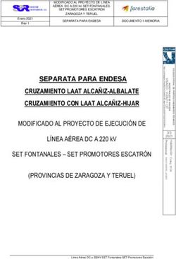 SEPARATA PARA ENDESA CRUZAMIENTO LAAT ALCAÑIZ-ALBALATE CRUZAMIENTO CON LAAT ALCAÑIZ-HIJAR