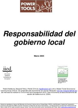 Responsabilidad del gobierno local - Marzo 2005