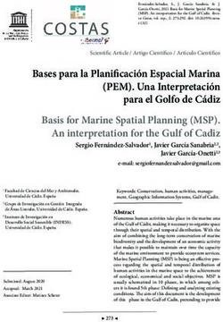 Bases para la Planificaci&oacute;n Espacial Marina (PEM). Una Interpretaci&oacute;n para el Golfo de C&aacute;diz Basis for Marine Spatial Planning (MSP). An ...