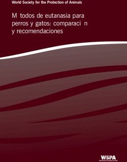 Métodos de eutanasia para perros y gatos: comparación y recomendaciones - World Society for the Protection of Animals