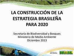 LA CONSTRUCCIÓN DE LA ESTRATEGIA BRASILEÑA PARA 2020 - Secretaría de Biodiversidad y Bosques Ministerio de Medio Ambiente Diciembre 2013