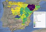 Estimaci&oacute;n Volumen de Nieve en la Pen&iacute;nsula provocado por la "Tormenta Filomena" - ENERO 2021