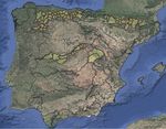 Estimaci&oacute;n Volumen de Nieve en la Pen&iacute;nsula provocado por la "Tormenta Filomena" - ENERO 2021