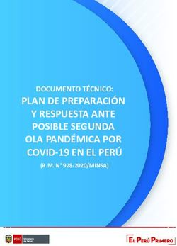 PLAN DE PREPARACIÓN Y RESPUESTA ANTE POSIBLE SEGUNDA OLA PANDÉMICA POR COVID-19 EN EL PERÚ - DOCUMENTO TÉCNICO: Ministerio de Salud