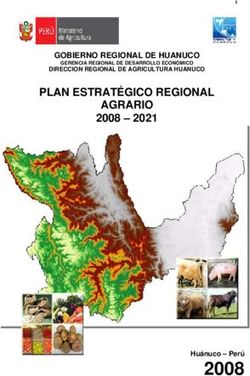 2008 PLAN ESTRAT&Eacute;GICO REGIONAL AGRARIO 2008 - 2021 GOBIERNO REGIONAL DE HUANUCO
