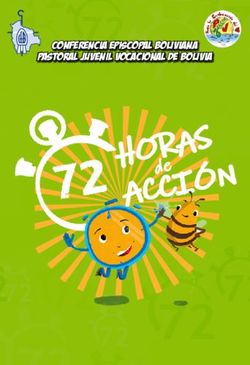 Conferencia Episcopal Boliviana Pastoral Juvenil Vocacional de Bolivia - Red Eclesial ...