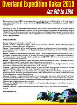 Overland Expedition Dakar 2019 - Jan 6th to 16th - Dakar Perú