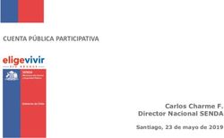 CUENTA PÚBLICA PARTICIPATIVA - Carlos Charme F. Director Nacional SENDA Santiago, 23 de mayo de 2019