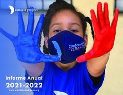 Informe Anual www.dominicandream.org - The DREAM Project