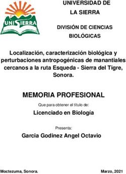 MEMORIA PROFESIONAL - Sky Island Alliance