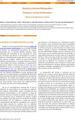 Noticias y revisi&oacute;n bibliogr&aacute;fica Not&iacute;cias e revis&atilde;o da literatura
