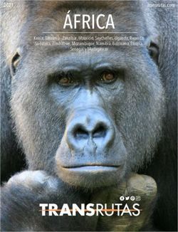 ÁFRICA 2021 - Aupa Travel