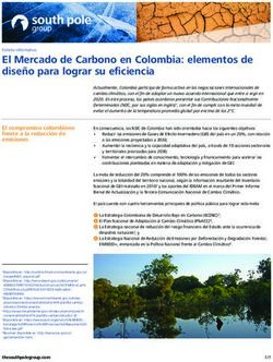 El Mercado de Carbono en Colombia: elementos de dise&ntilde;o para lograr su eficiencia - South Pole