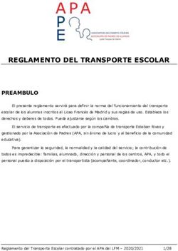 REGLAMENTO DEL TRANSPORTE ESCOLAR - APA Liceo ...