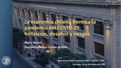 La economía chilena frente a la pandemia del COVID-19: fortalezas, desafíos y riesgos - Mario Marcel Presidente, Banco Central de Chile