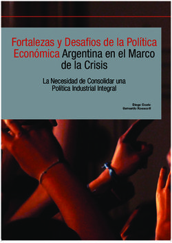 Fortalezas y Desafios de la Pol&iacute;tica Econ&oacute;mica Argentina en el Marco de la Crisis - La Necesidad de Consolidar una Pol&iacute;tica Industrial Integral