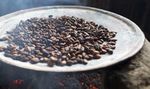Caf&eacute; y Cacao del mercado de Portugal l roducto- P - Perfil de