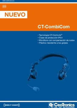 NUEVO CT-COMBICOM - CEOTRONICS AG