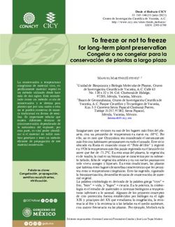 To freeze or not to freeze for long-term plant preservation - CICY