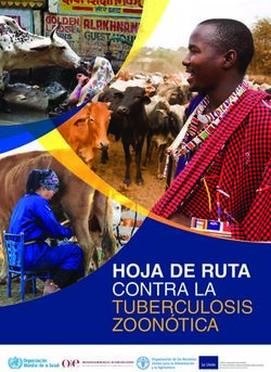 HOJA DE RUTA CONTRA LA TUBERCULOSIS ZOON&Oacute;TICA - OIE