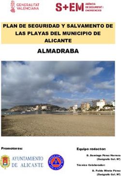 ALMADRABA PLAN DE SEGURIDAD Y SALVAMENTO DE LAS PLAYAS DEL MUNICIPIO DE ALICANTE - Promotores: Ayuntamiento de Alicante