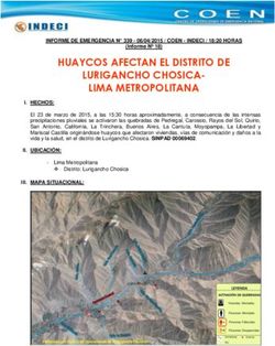 HUAYCOS AFECTAN EL DISTRITO DE LURIGANCHO CHOSICA- LIMA METROPOLITANA