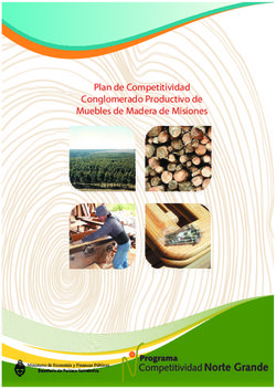 Plan de Competitividad Conglomerado Productivo de Muebles de Madera de Misiones