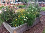 GARDENER'S GUIDE - New York ...