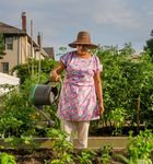 GARDENER'S GUIDE - New York ...