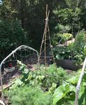 GARDENER'S GUIDE - New York ...