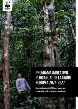 PROGRAMA INDICATIVO PLURIANUAL DE LA UNI&Oacute;N EUROPEA 2021-2027 - Recomendaciones de WWF para apoyar una recuperaci&oacute;n verde en los pa&iacute;ses amaz&oacute;nicos