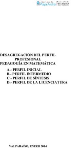 DESAGREGACI&Oacute;N DEL PERFIL PROFESIONAL PEDAGOG&Iacute;A EN MATEM&Aacute;TICA A.- PERFIL INICIAL B.- PERFIL INTERMEDIO C.- PERFIL DE S&Iacute;NTESIS D.- PERFIL DE LA ...