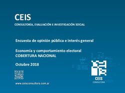 CEIS Encuesta de opinión pública e interés general Economía y comportamiento electoral - COBERTURA NACIONAL Octubre 2018 - CEIS Consultora