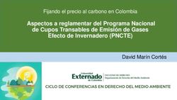 Aspectos a reglamentar del Programa Nacional de Cupos Transables de Emisi&oacute;n de Gases Efecto de Invernadero (PNCTE) - Fijando el precio al carbono ...